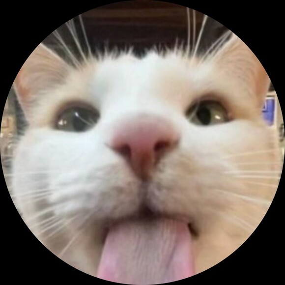 sillycatthrift